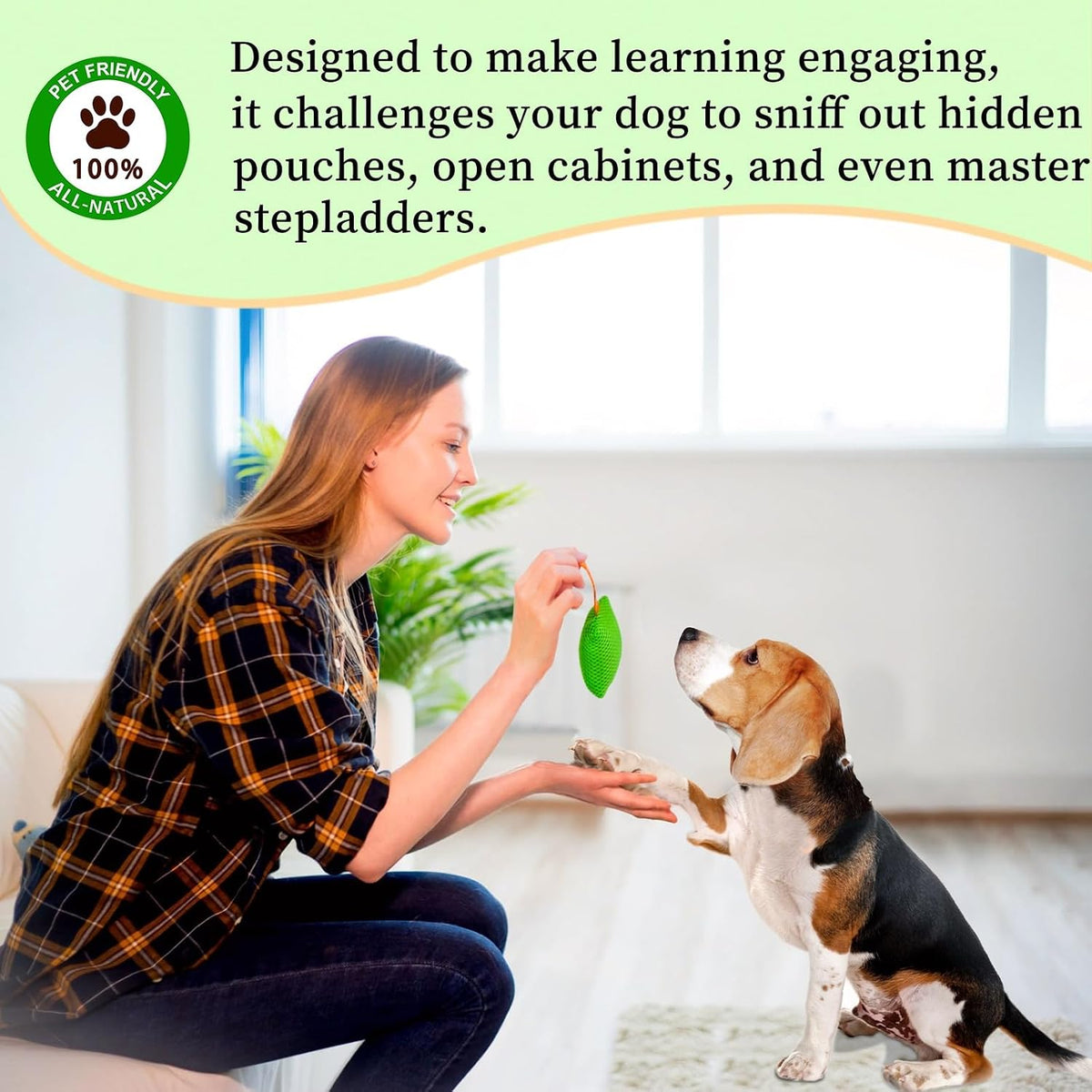 Dog Scent Training kit, Brain Games, Hide and Seek Toys - Green - image 4