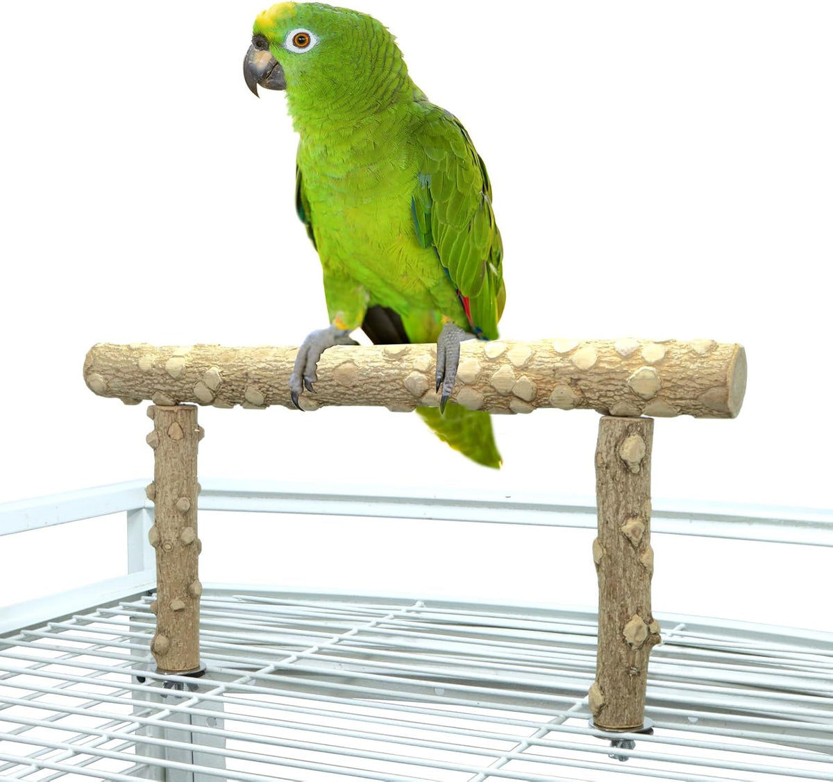 Bird Perch Stand,Natural Wood Cage Gym Toy Branch for Small Large Parrot – Essentials for Birds - M