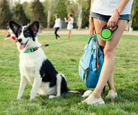 Taglory Retractable Dog Leash, One-Handed Brake, Up to 44 lbs - Green / Large - image 2