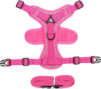 Reflective Pet Harness and Leash Set – Adjustable Escape Proof Soft Mesh Vest for Indoor & Outdoor Walking