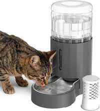 JUNSPOW Cat Water Dispenser and Stainless Steel Bowl – Essentials for Cats - Grey / 4L + Filter