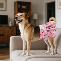 CuteBone Female Dog Diapers with Skirts 3 Pack Reusable Puppy Dresses - Cherry&rainbow&dessert skirts / XL - image 4