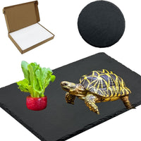 Reptile Basking Platform 6 × 6", Extra Large Reptile Slate - 11.8 × 7.9 IN + 4 IN