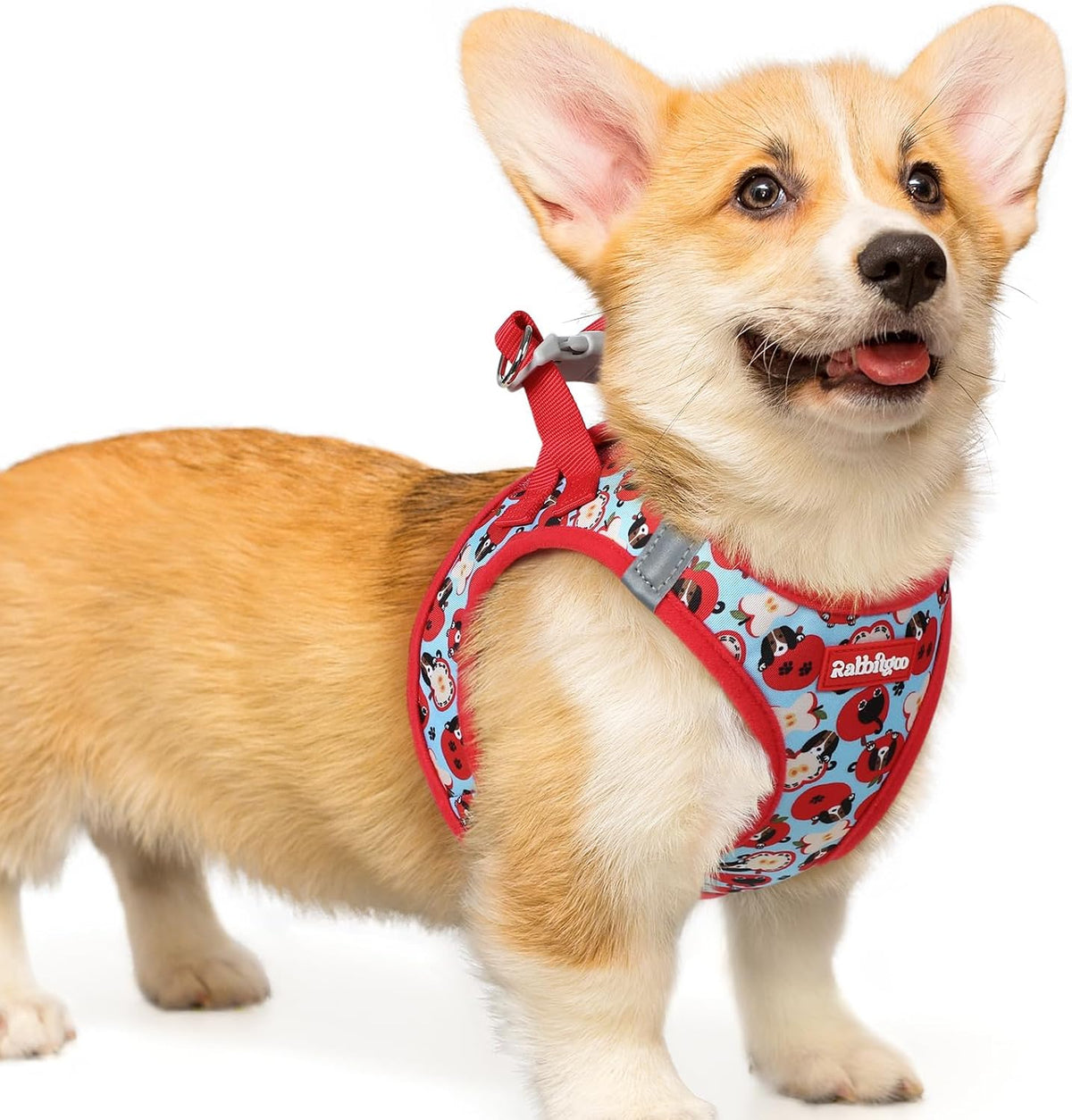 rabbitgoo Step-in Small Dog Harness - Apple Pups / L(chest:18.2"-20.5")