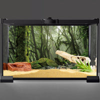 36x20 in Terrarium Backdrop Foggy Forest Stream Reptile Habitat - 24x12in/60x30cm - image 2