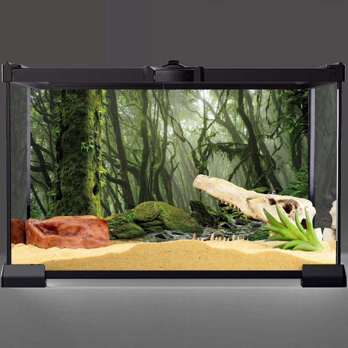 36x20 in Terrarium Backdrop Foggy Forest Stream Reptile Habitat - 24x12in/60x30cm - image 2