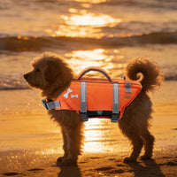EMUST Dog Life Jacket, Waterproof, Breathable - XL / NewOrange - image 4