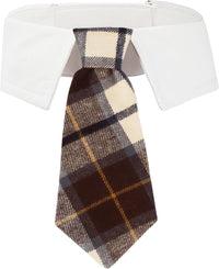 ADOGGYGO Fall Dog Neck Tie - Medium / Mocha