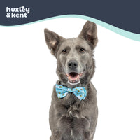Huxley & Kent Pet Bow Tie for Dogs & Cats - Busy Bees / Large - image 4