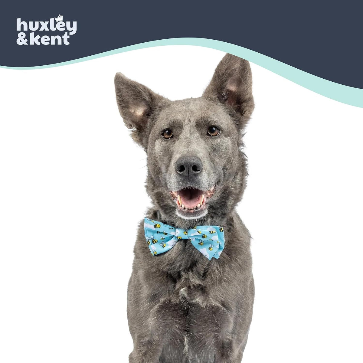 Huxley & Kent Pet Bow Tie for Dogs & Cats - Busy Bees / Large - image 4