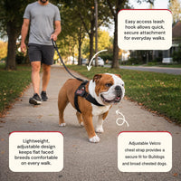 Adjustable Dog Harness, No Pull, No Choke, for English Bulldogs - CAUTION / Small - (Neck: 14" - 17" Chest: 19" - 24") - image 4