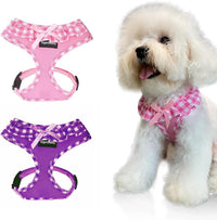 SuperBuddy Upgraded Soft Mesh Dog Harness - XS (Neck Girth 8.6"; Chest Girth: 11"-14") / Pink and Purple Set