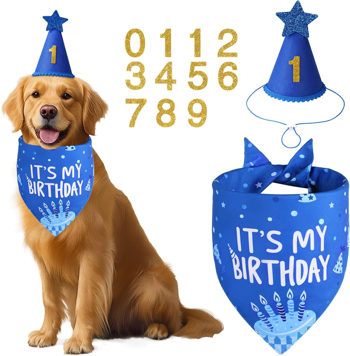 Blue Dog Birthday Party Supplies with Hat Bandana Numbers – Essentials for Dogs - Blue-set / X-Large - image 2
