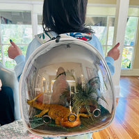 Bearded Dragon Travel Carrier, Lizards Carrier - Multicolor / Backpack - image 4