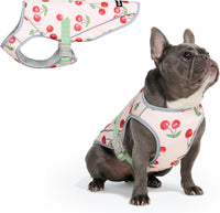Spark Paws Dog Cooling Vest, Evaporative Summer Cooling - Cherries / XX-Large