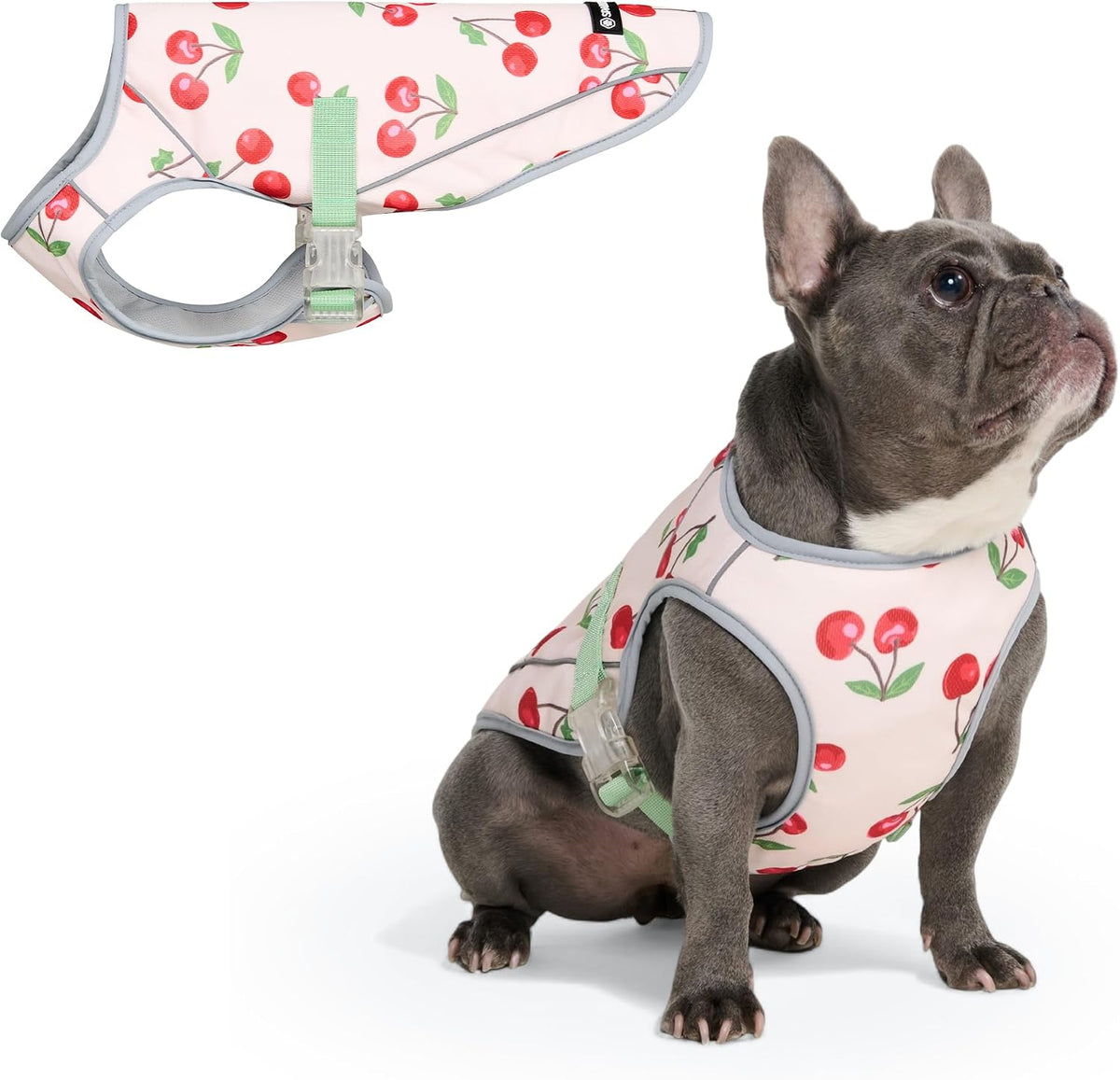Spark Paws Dog Cooling Vest, Evaporative Summer Cooling - Cherries / XX-Large