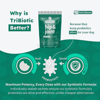 Hip and Joint Synbiotic Formula - 600mg Glucosamine, Chondroitin, MSM, and Probiotics in 30 Packs