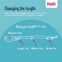 Halti Headcollar & Training Leash Bundle – Essentials for Dogs - Size 4 Head Collar - image 4
