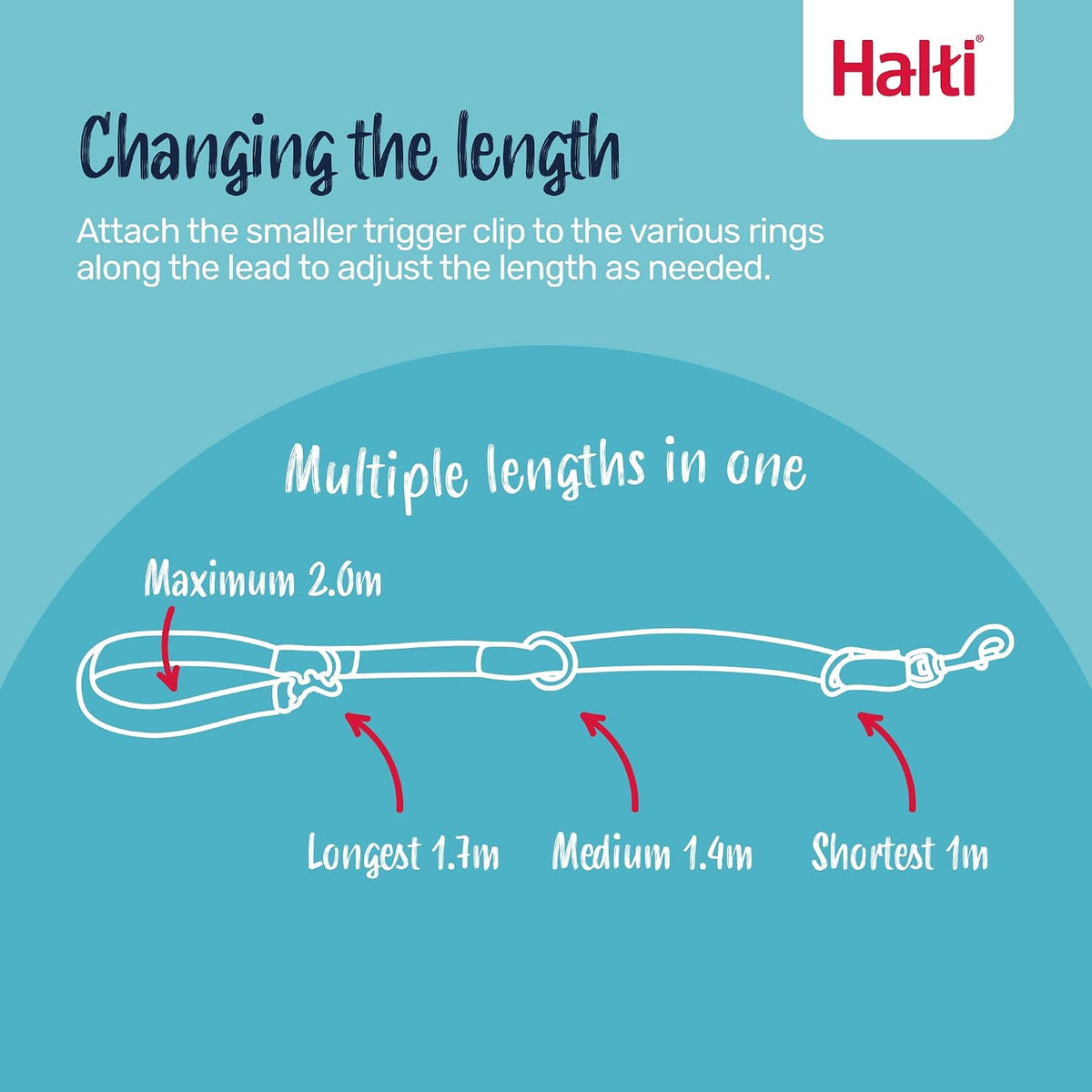 Halti Headcollar & Training Leash Bundle – Essentials for Dogs - Size 4 Head Collar - image 4