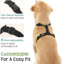 Dog Seat Belt Vest Harness for Car - Blue / M (Chest: 19.7-26.4", Neck: 12.6-20.5") - image 4