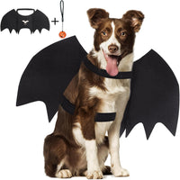 Vivifying black felt dog bat wings Halloween costume with pumpkin bells