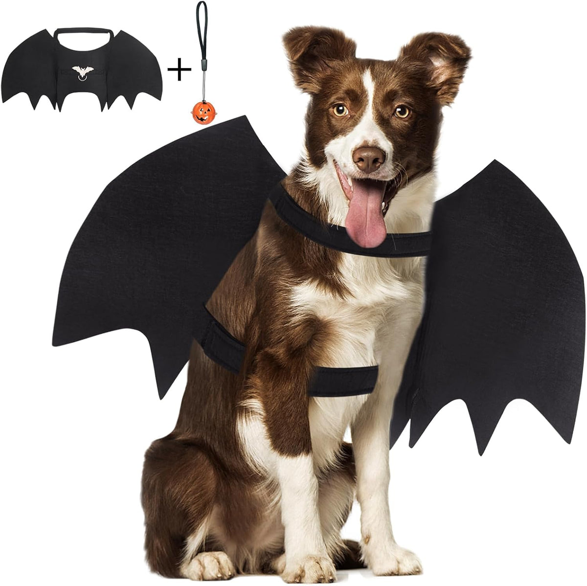 Vivifying black felt dog bat wings Halloween costume with pumpkin bells