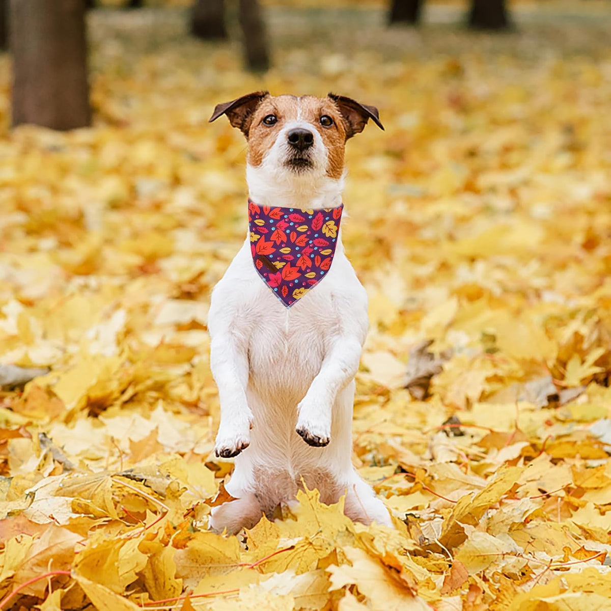 Dog Bandanas 1PC Washable Cotton Triangle Dog Scarfs for Small Medium - Small / Colorful Maple - image 4