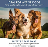 Flea and Tick Collar for Dogs, Cats – Natural Essential Oils – Long-Lasting 8 Month Protection – Waterproof, Adjustable – Safe for Puppies, Kittens, Sensitive Skin