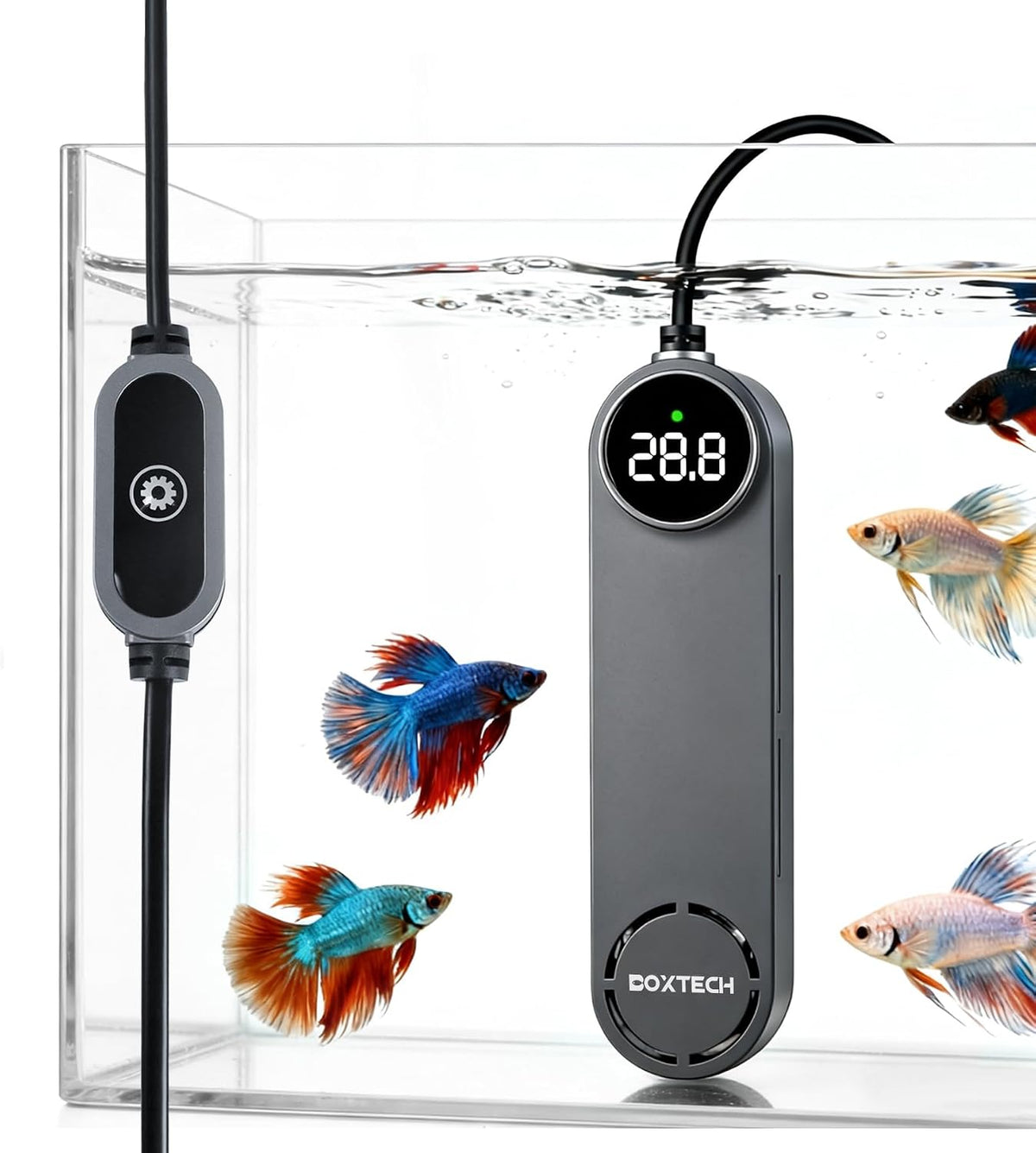 Small Fish Tank Heater, Mini Aquarium Heater - 300w for 35 to 70 gallon tank