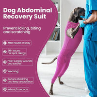 Nanaki Dog Wound Care Shirt, Leg Sleeves to Stop Licking Rear Leg and Abdomen, Surgery Suit for Female Spay, Onesie for Surgery Female, Surgical Recovery Suit Wound Heal Clothes