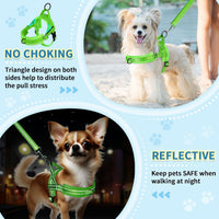 SlowTon No Pull Small Dog Harness and Leash Set with Front Clip – Essentials for Dogs - X-Small / Green - image 3