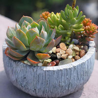 2 Pounds Pebbles for Plants, 3/8 Inch Succulent Rocks, Decorative Polished River Rocks for Plants Indoor, Vases, Cactus Planters, Bird Bath, Craft and Fairy Garden
