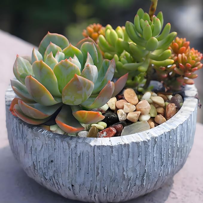 Succulent Rocks, 3/8 Inch Polished Pebbles for Indoor Plants, Decorative River Rocks for Plants Indoor, Vase Fillers, Cactus Planters, Bird Bath, Fountain, Outdoor Garden Landscaping