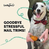 LuckyTail Pet Nail Grinder for Dogs and Cats - Super Quiet and Low Vibration Electric Dog Nail Grinder with 2 LED Lights - USB Rechargeable and Cordless - 2 Speeds - Small to Large Pets - Orange