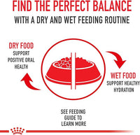 Royal Canin Indoor Adult Dry Cat Food, 15 lb bag