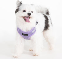 Puppia PARA-HC1533-CA-M Camo Soft Harness C Pet-Vest-Harnesses - Small / Violet - image 3