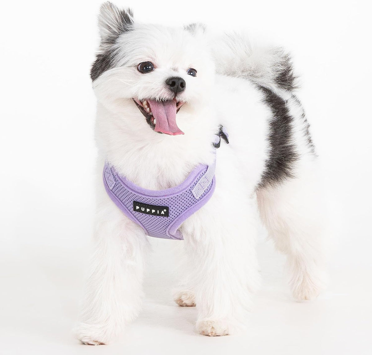 Puppia PARA-HC1533-CA-M Camo Soft Harness C Pet-Vest-Harnesses - Small / Violet - image 3