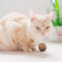 Cat Ball Toys by Americat – Made in USA – Safe Cardboard Cat Toys – for Interactive and Independent Play, Exercise & Stress Relief for All Breeds & Ages (Pack of 3 Round Balls)