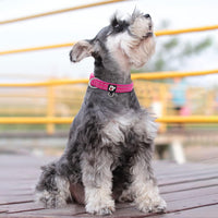 Reflective Dog Collar, Neoprene Padded Small Dog Collar, S - Small (Pack of 1) / Hot Pink - image 3