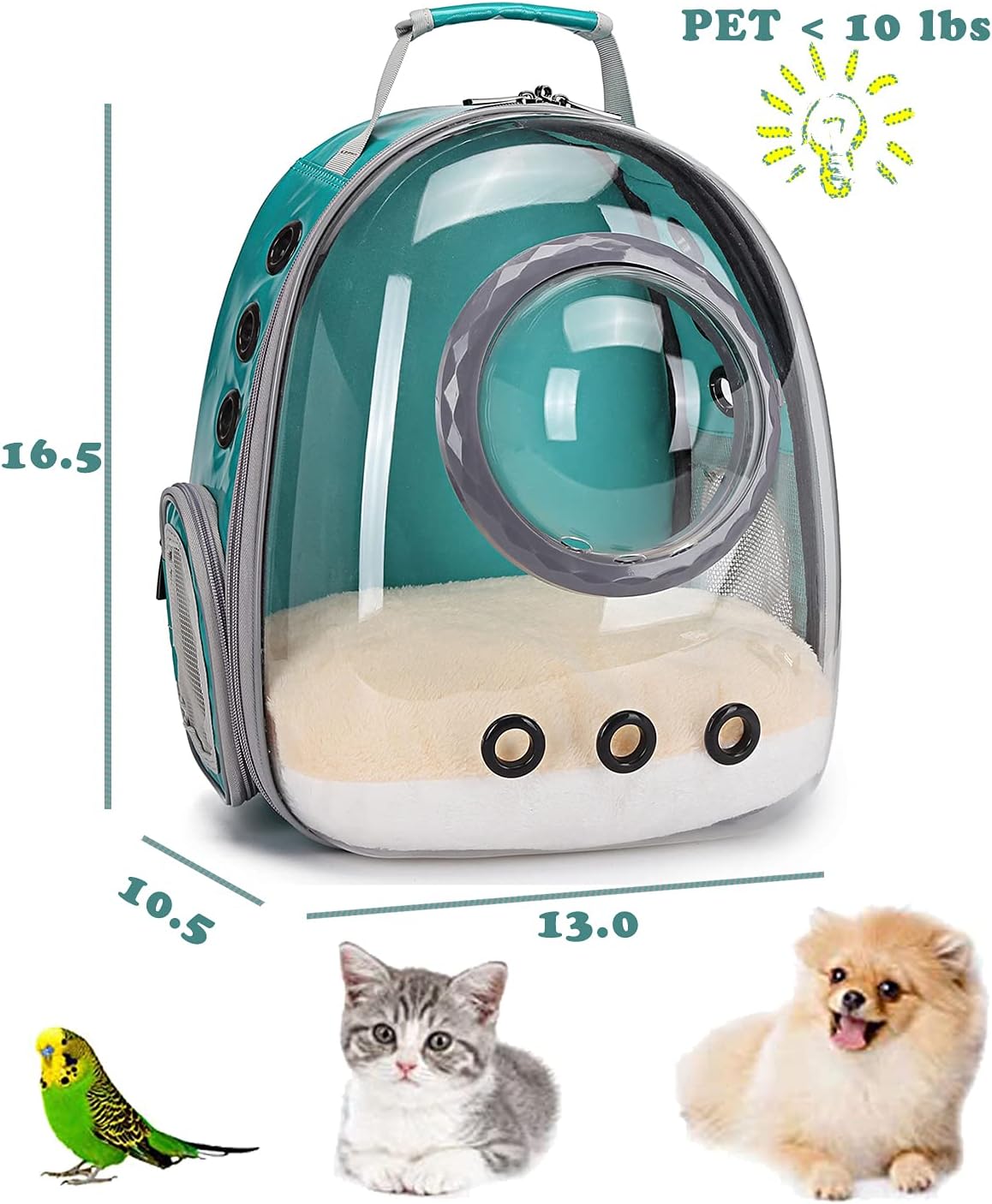 Bubble Cat Carrier Backpack - Green / Backpack - image 2
