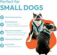 Gooby Comfort X One Dog Harness, Choke-Free - 2X-Small Chest (10.5-12.5") / Miami Yellow - image 2