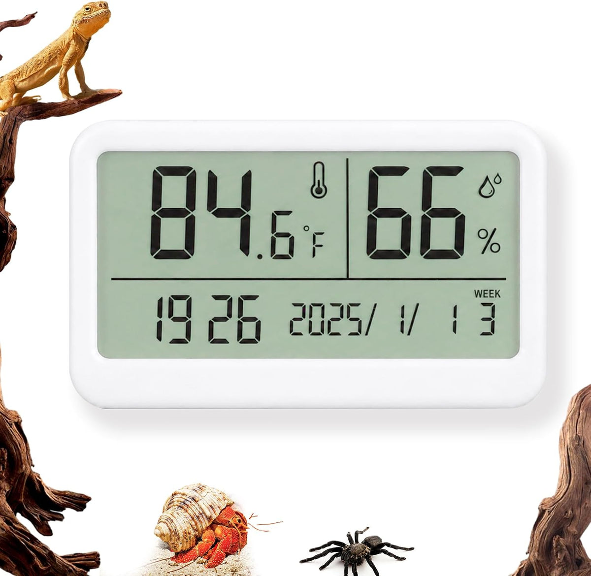 2 PCS Rectangle Reptile Thermometer and Humidity Gauge for Bearded - White Magnetic