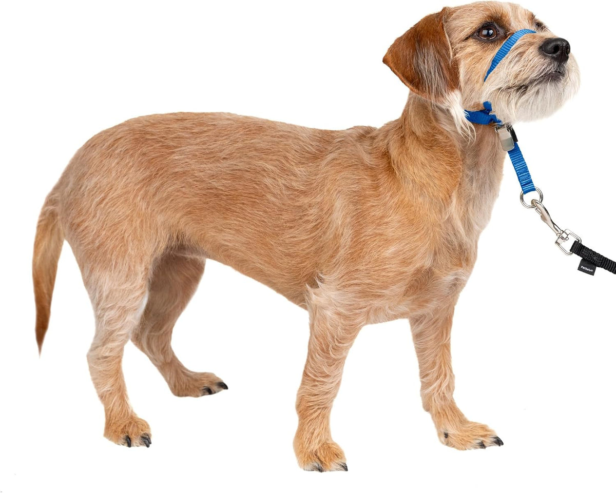 PetSafe Gentle Leader No Pull Dog Headcollar - Small / Royal Blue