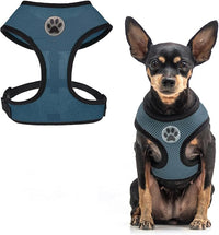 BINGPET Small Dog Harness - Breathable Mesh Puppy Cat Harnesses - No Pull Adjustable Dog Harness Dog Vest Harness for Small and Medium Dogs