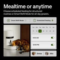 PETLIBRO Automatic Cat Feeder for 2 Cats - 5l single bowl - image 4
