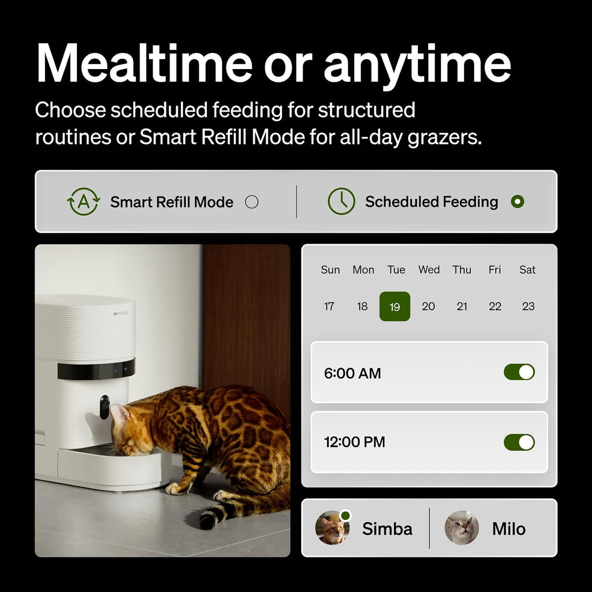 PETLIBRO Automatic Cat Feeder for 2 Cats - 5l single bowl - image 4