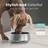 Pawaii Small Dog Bowl, 12 oz Stainless Steel Food and Water Bowl, 1 Pack – Essentials for Dogs - 68oz / Silver Polish - image 4