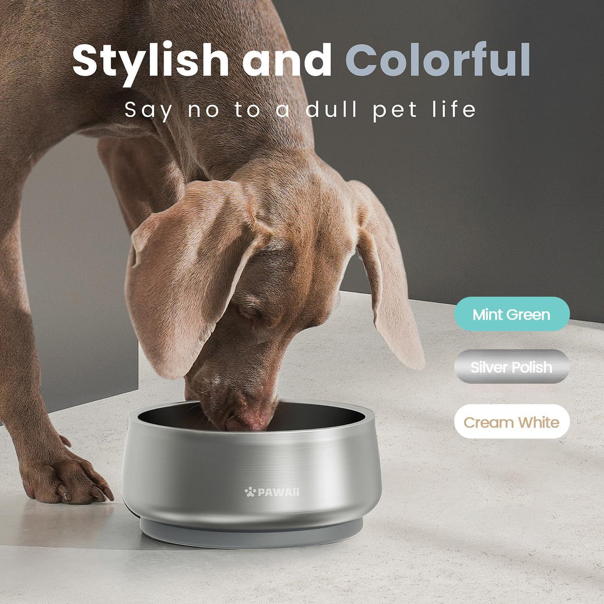 Pawaii Small Dog Bowl, 12 oz Stainless Steel Food and Water Bowl, 1 Pack – Essentials for Dogs - 68oz / Silver Polish - image 4