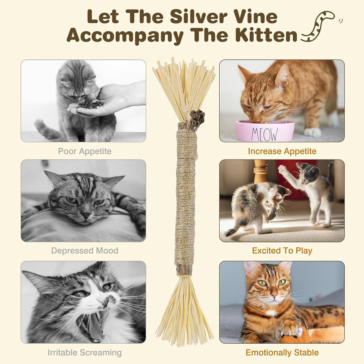 4 Pack Silvervine Sticks for Cats - Grey / 4 - image 3