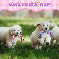 Paterr 12 Pcs Cotton Rope Toys for Small Dogs Puppy Teething – Essentials for Dogs - image 4